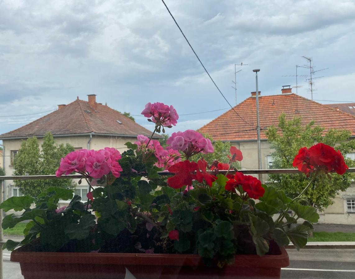 Apartman Cvjetnjak Čakovec Exteriér fotografie